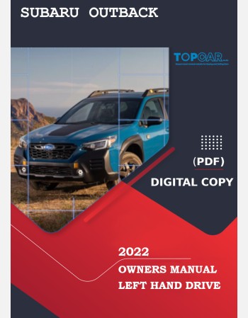 19" Widescreen LCD Monitor